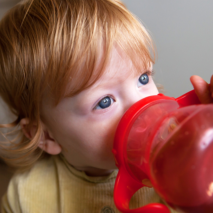 mejores tazas para sorber