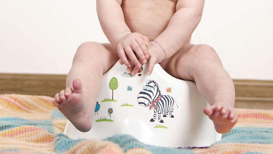 best potty training seats