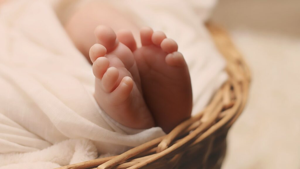 best moses basket bassinet