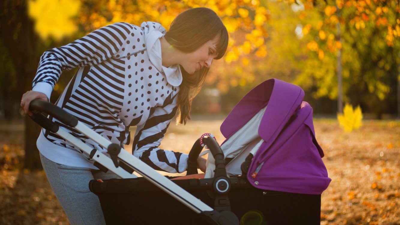 Best Non-Toxic Stroller Car Seat Combo