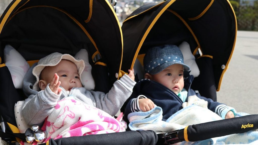 double stroller with car seat